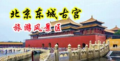 欧洲色色性网中国北京-东城古宫旅游风景区